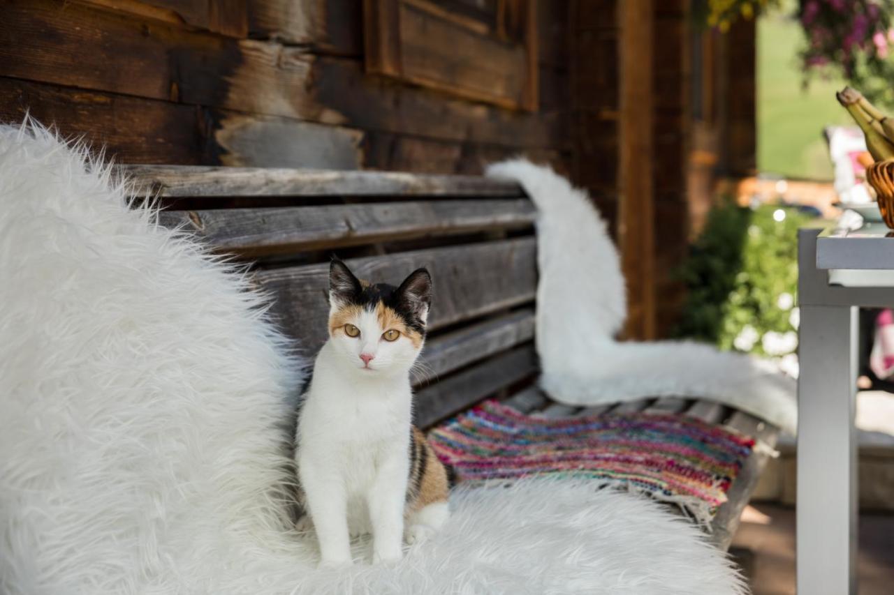 Das "Zwislegggut" Wagrain Dış mekan fotoğraf